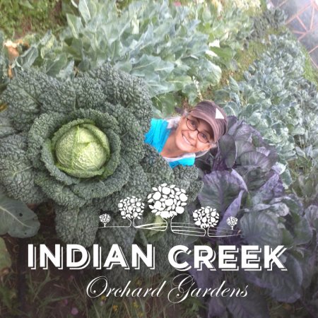Indian Creek Orchard Gardens's picture
